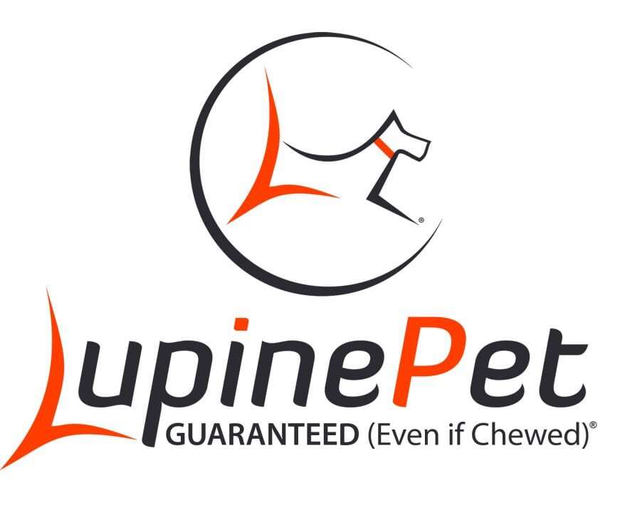 Lupine 3/4 4ft Leash The Petcare Market